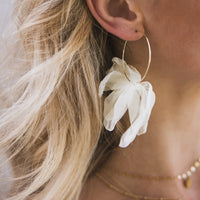 Sweet Romance Chiffon Earrings